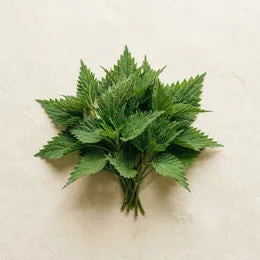 Nettle leaf