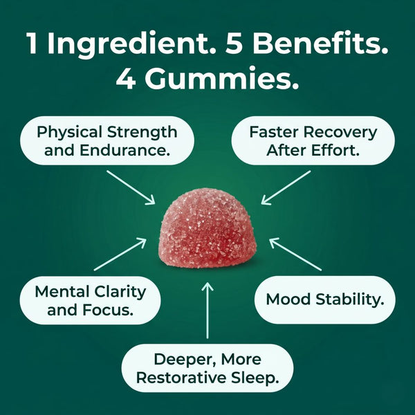 Strengthspan - Sugar-Free Creatine Gummies To Feel Like You Again