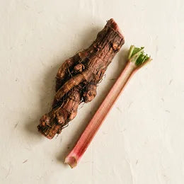 Rhubarb root