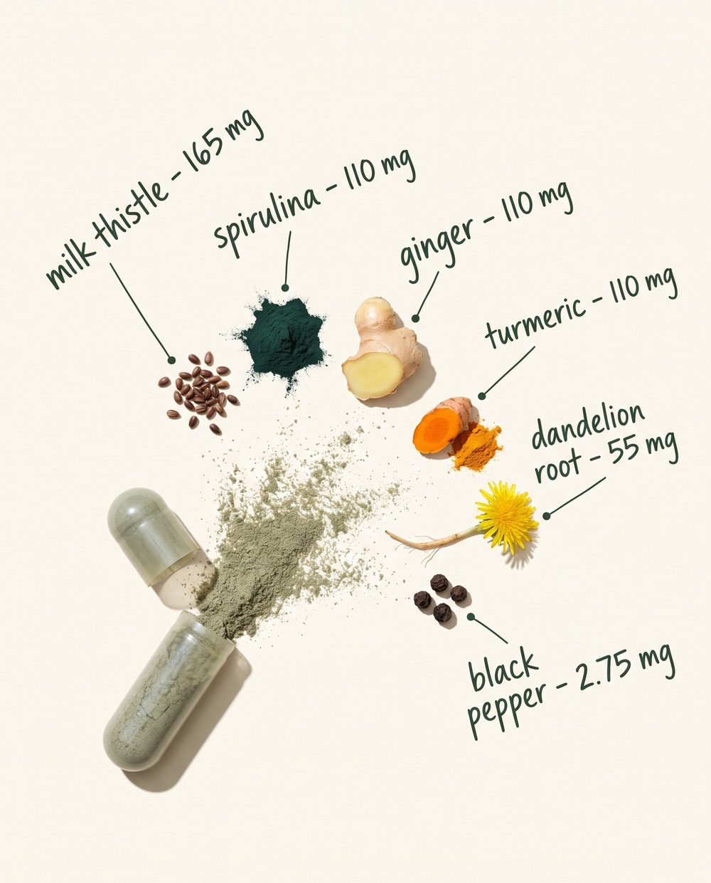1 capsule pulled apart beside 6 of its botanicals, each hand-annotated with its exact dose