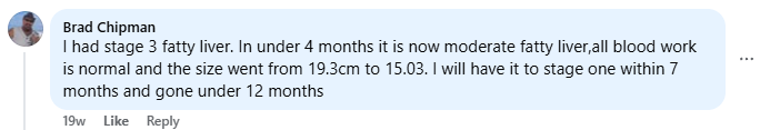 Customer comment: stage 3 fatty liver improved to moderate in under 4 months, bloodwork normal