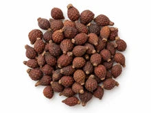Grains of Paradise seeds