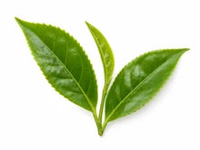 Green tea leaves